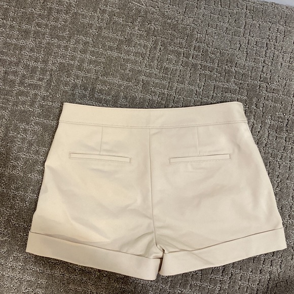 Express Shorts - Picture 2 of 8